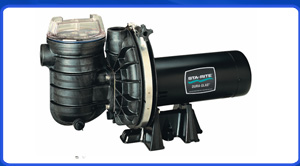 Motobomba Dura Glas Sta Rite